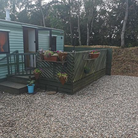 Lochlands Caravan Park X Villa Forfar Exterior foto